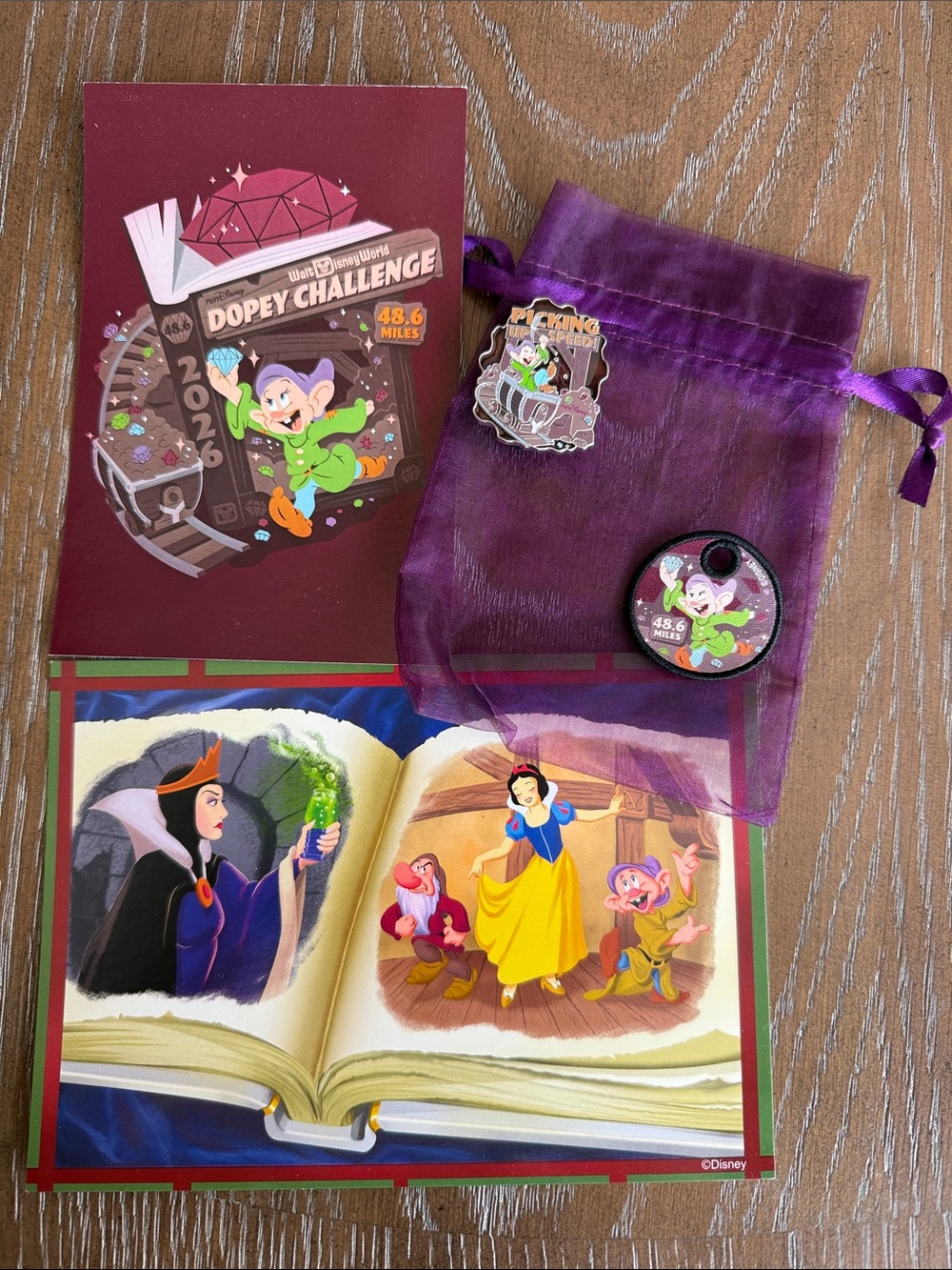 Disney 2026 Dopey Challenge Post card Set - Dopey pin, Brooks shoe tag